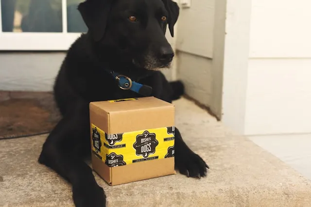 best selling dog products Amazon US fast shipping delivery