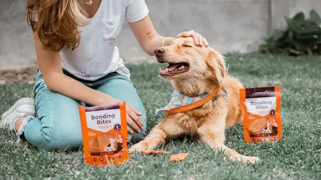 dog health products Amazon USA top rated treats for training