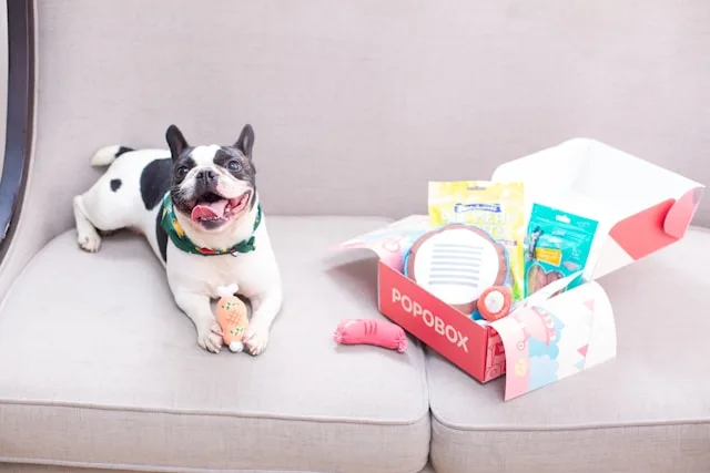 must have dog products for new owners USA with toy subscription box