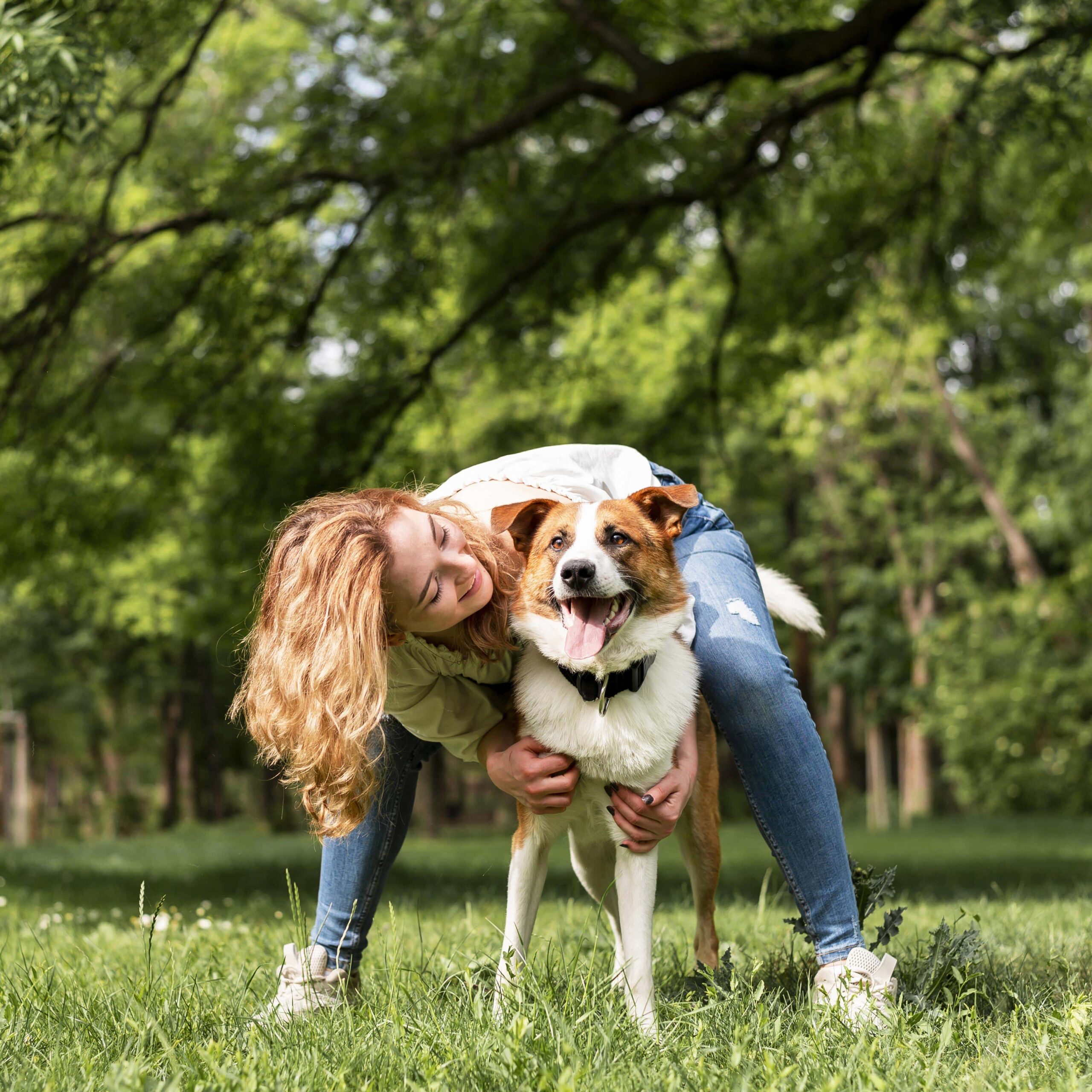 dog care tips - Paw Pearl - pawpearl.com Introduction Owning a dog is a little like becoming a parent to a toddler—full of fun, joy, cuddles, and yes, a few challenges. Dogs are not just pets; they are family. They truly depend on us for everything: food, playtime, grooming, health, and love. Because of this, learning the correct dog care tips for pet parents is so valuable. Whether you are bringing home your first puppy or caring for an older dog, this guide is designed to help you through everything. Just consider it as your handbook—easy to read, practical, and full of tips you can start applying today.Feed Your Dog Right: It’s More Than Kibble Link: Purchase Product Can you imagine eating the same bland meal every single day? That’s what many dogs experience when they are fed low-quality kibble. Nutrition is the foundation of your dog’s health and happiness. Protein is king: dogs need chicken, beef, fish, or eggs to thrive. Good carbohydrates: provide energy and sweetness from sweet potatoes, oats, and brown rice. Healthy fats: Salmon oil and flaxseed oil provide omega-3s for a shiny coat. Vitamins and minerals: Vegetables like carrots, peas, and pumpkin boost their immunity. Pro Tip: Watch out for dog foods that are high in fillers, like corn or soy. Always review the ingredients.Many pet parents are starting to prepare homemade food. If you're cooking for your dog, make sure those meals are nutritionally balanced — don't just throw your leftover food into the bowl. You can easily contact your vet (and I'm sure they'll love to help) or a dog nutritionist to help design meals for your pup. IntroductionLink: Purchase ProductGrooming: About More Than Just Being CuteReflection on what we just discussed: A Tired Dog is A Happy DogTraining and Socialization: Dog Care TipsDog Care Tips: BasicsEmotional Dog Care Tips: Love is MedicineCommon Mistakes to AvoidDog Care Tips Across All Life StagesReal-Life Dog Care Tips StoriesAdvanced Guide: Dog Care Tips Every Dog Parent Should KnowRecognize Your Dog’s Individual NeedsDaily Dog Care Routine for the Busy Pet ParentBeyond Basic Nutrition: Super Foods for DogsHydration is More Important Than You ThinkSeasonal Dog Care TipsWinter:Summer:Spring:Fall:Home Safety: Dog-Proofing Made EasyTraveling With Dog Care TipsCar Travel:Air Travel:Road Tripping & Vacationing:Affordable Dog Care Tips for Thrifty Pet OwnersAdvanced Training and EnrichmentSenior Dog Care TipsEmotional Health: the Forgotten Dimension of Your Dog CareCreating a Strong BondConclusion Grooming: About More Than Just Being Cute An unkempt dog just isn't as happy a dog. Grooming isn’t just about taking a video of your pup for Instagram—grooming is about health and comfort. A good brushing will help control your shedding and keep you from having painful mats. Bathing every 4-6 weeks is usually sufficient. Bathing too often can dry out your dog's skin. Dog toenails should be regularly trimmed to help prevent painful toes and posture problems. Regularly cleaned dog ears help to prevent painful ear infections (especially for floppy-eared breeds). While often overlooked, regular dental care is also important. Regular brushing or using dental chew toys helps keep your dog's teeth and gums healthy. Bonus: Dog grooming can serve as bond-building time. If you keep the energy around grooming positive and gentle, most dogs enjoy the one-on-one attention. Reflection on what we just discussed: A Tired Dog is A Happy Dog Have you ever wondered why, once your dog gets free of confinement, he takes off like a rocket throughout the house? It's because they need and crave exercise for both their body and their mind! Small breed dogs (Doxie's, Yorkie's, etc.): 20-30 minutes a day Medium breed dogs (Beagles): 45-60 minutes Large breed dogs (Labs, Huskies): 1-2 hours You can mix and vary dog exercise, too. Walking, fetching, swimming, hiking, and a fun day at the dog park all count as exercise. You can make "exercise" even more challenging by adding mental workouts all dogs need, such as puzzle toys, games of hide-and-seek, or short 3-5 minute training exercises before their playtime. Training and Socialization: Dog Care Tips Training provides trust and a level of ease for yourself and your dog. The days of training via punishment are gone; positive reinforcement training is what we need today. Be consistent with your commands. Reward good behaviors with treats, toys, and praise. Be patient, as every dog learns at their own pace. Socialization is important as well. The sooner you can introduce your dog to new people, dogs, and places, the more confident and calm they will grow into a dog. Dog Care Tips: Basics Health maintenance, otherwise known as preventative care, is necessary: vaccines, parasite control, and regular vet visits! Dogs can, like us, develop health issues that can often be treated successfully when caught early. Rapid weight fluctuation Excessive scratching or licking Loss of appetite Lethargy, or a change in mood Prevention equals savings and is infinitely less heart-wrenching. Emotional Dog Care Tips: Love is Medicine Dogs are more than physical; they are emotional. They need their emotional needs met through affection, routine, and socialization. Spend time with your dog every day (walks, play, cuddle time). Keep to a routine; structure makes dogs feel safe. Respect your dog's need for their space and to rest. Perhaps even more than physical care, emotional care is one of the most overlooked yet impactful dog care tips for pet parents. Common Mistakes to Avoid Even the best pet parents make mistakes at times. Here are the big ones to pay attention to: Overfeeding, feeding scraps. Neglecting routine grooming. Ignoring dental care. Skipping appointments with your vet. Using punishment instead of positive training. Small adjustments can significantly improve your dog's quality of life. Dog Care Tips Across All Life Stages Puppies: Need high protein, socialization, and gentle training. Adults: Need balanced meals, daily exercise, and continuous training. Seniors: Softer food, frequent vet visits Your dog's requirements will modify over time, but love and attention are constant. Real-Life Dog Care Tips Stories Milo, a Golden Retriever, was overweight and sluggish. When he switched to balancing meals and swimming daily to exercise, he became playful and fit. Luna the Beagle, who previously displayed anxiety, gained peace and presence when her owner offered daily walks and puzzle games. These stories illustrate how the life of a dog can be changed from small adjustments to ongoing care. Advanced Guide: Dog Care Tips Every Dog Parent Should Know Recognize Your Dog’s Individual Needs Not all dogs are alike. Two puppies of the same type may have completely different personalities and needs. Some dogs enjoy running on a trail, while others like nothing more than curling up with you on the couch. One of the most important dog care tips that any dog parent should be aware of is to read your dog’s body language, and the care you give them will be more closely aligned with their lifestyle.For instance: High-energy breeds like Border Collies or Huskies require daily challenges of some kind — agility training in the yard, running a couple of miles, or a good hike in the woods. Companion breeds like Pugs or Bulldogs need moderate exercise — no more than a couple of laps in the yard or a few blocks of walking — and a healthy amount of love and affection. Working dogs like German Shepherds or Belgian Malinois require not only physical activity; they need mental activity. If they get bored, they might create an entirely new carpet pattern with their teeth. Dogs communicate through posture, tail position, ear position, and movement, and into their eyes for eye contact. If you learn to read these cues, you can use them as cues to present the proper blend of physical, nutritional, and emotional care. Daily Dog Care Routine for the Busy Pet Parent Many pet owners have a similar issue balancing a busy life with dog care, particularly in Tier 1 nations where owners are preoccupied with work commitments. Here are some daily dog care tips to keep routines efficient and manageable. Morning: Take a short walk, fill a fresh bowl of water, and serve breakfast. This gives your dog structure for the day. Midday (if possible): Go outside for a short potty break or an interactive toy to avoid boredom. Evening: Take a long walk, have a play session, or finish the day with a training exercise to help burn away energy. Night: A winding-down cuddle session or brushing session to bond and relax. Consistency is important! Dogs are creatures of habit and are more relaxed when they know what to expect each day. This helps reduce stress and improve behavior. Beyond Basic Nutrition: Super Foods for Dogs We have covered proteins, fats, and veggies; now, let's go further. Many pet parents are choosing to explore more natural and functional food. One way to boost long-term health is to use superfoods, and incorporating them is one of the smartest dog care tips. Blueberries: Contain antioxidants and have benefits for the brain and heart. Pumpkin: Aids in digestion, is full of fiber, and dogs love the taste. Spinach: Rich in iron and vitamins that help build muscles. Coconut oil: Promotes shiny coats and skin hydration. Turmeric: Anti-inflammatory properties that can help with joints Keep in mind: Always introduce things in moderation; if you switch things up too quickly, it may upset your pup's stomach. Hydration is More Important Than You Think Fresh water might seem obvious, but a lot of pet owners do not consider how important hydration is. Your dog can become dehydrated, which can lead to kidney problems or tiredness and overheating in hotter seasons. Here are some dog-care hydration tips: Offer multiple water bowls in various areas in your home. Wash the water bowls daily to ensure no bacteria are growing. Have portable water bottles for longer walks. Include water-rich foods: during the summer, give treats like cucumber and watermelon. Seasonal Dog Care Tips Every season is different. It's essential to change your dog-care routine to the season and because of the weather. Winter: Make warm bedding available. Limit outdoor time during slippery conditions. Moisturize your dog's paw pads to avoid cracking. Summer: Do not walk dogs in the afternoon; only in the morning or evening. Never leave the dog in the car while parked. Provide frozen treats or mats if possible. Spring: Pay attention to ticks, fleas, and other seasonal allergies. Groom your dog frequently to minimize shedding. Fall: Limit your dog from accessing acorns or other forms of toxic plant life, etc. Adjust diet and activity based on temperatures. Home Safety: Dog-Proofing Made Easy Dogs are curious by nature, and that means that danger could be lurking in everyday items we have in our homes. A great tip in dog care is to help your dog by providing a safe area. Keep all cleaning supplies, medications, and chocolate out of reach. Use baby gates to block off unsafe areas. Hide electrical cords and cover plugs. Safely store all your garbage bins. By dog-proofing your home, you are saving yourself from potential vet emergencies and avoidable pain and suffering for your dog. Traveling With Dog Care Tips Traveling with dogs can be fun, but it can be a lot of work too. Car Travel: Use a seatbelt harness or crate to keep your dog and yourself safe. Bring water, snacks, and a first-aid kit. Plan regular potty breaks. Air Travel: Check airline policies for pets ahead of time. When possible, do direct flights. Line crate with absorbent pads in case of an accident. Road Tripping & Vacationing: Bring familiar dog toys and blankets to help ease anxiety. Update ID Tags and microchip information prior to travelling. When you consider your dog's needs just as your own, you make traveling a lot smoother. Affordable Dog Care Tips for Thrifty Pet Owners Dog care doesn’t necessarily have to involve expensive grooming or high-quality toys. By using a little foresight, you can give your dogs quality care without spending a ton. Buy kibble or meat in bulk. Alternate between home-prepared meals or kibble. Make dog toys using a DIY approach (tennis ball in a sock, rope tug toy). Groom your dogs at home with quality dog grooming tools. Find low-cost vaccinations at vaccination clinics. Your dog will never know if their toy is from the pet boutique or homemade half-wits; what is important is the interaction and love. Advanced Training and Enrichment Advanced training is so important and such a fun way to enhance your dog's life. Imagine teaching your dog obstacle training (agility) so they could manifest that energy or learning scent work to increase usage of their remarkable noses; it could even be a trick training session, whether they do whatever you ask as you interact and bond together. Each of these activities is excellent for burning both you and your dog's energy, but through each of these exercises, you are improving bonds of trust and communication. One of the most practical tips I can impart for caring for your dog is to make training into play time; this way it will never seem like work for your dog. Senior Dog Care Tips A senior dog may require special consideration in order to provide comfort and quality of life. Softer bedding for joint pain support. More frequent but shorter walks. Glucosamine and chondroitin supplements. Routine and regular health checks to assess for arthritis or organ issues. Patience with hearing or vision losses. Your dog’s golden years can still be filled with happiness and wagging tails if you proactively change your care. Emotional Health: the Forgotten Dimension of Your Dog Care Dogs can experience anxiety, depression or stress, we do particularly if our dogs are left alone for too long! here are some powerful dog care tips to support their emotional health. Calming music, or leave the TV on while you are away. Provide puzzle feeders or other toys to keep them occupied. Consider doggy daycare if you are away for a long time. Crate train your dog and teach them that their crate is their safe spot. Don’t use harsh scolding or verbal reprimands with your dog; provide positive redirection instead. A happy mind is just as important as a healthy body. Creating a Strong Bond The most important dog care tips boil down to continuing to strengthen the bond and the relationship with your dog. Dogs do not place as much value on the toys you give them, or gourmet food that is hand made on your attention. Dogs amaze inwardly when they receive daily cuddles, walking time, and playtime. These activities are important because they help to value them and provide reassurance for their ongoing love and trust in you and your ensuring care. Conclusion Owning a dog is not a weekend project – it is a lifetime commitment. Everything you do, from what kind of food you feed them to how much exercise you provide, creates their life and health. By using these practical dog care tips, you are enabling your dog to live a life full of vitality and joy, with lots of trust in you. Feed your dog properly, exercise them adequately, groom them frequently, provide them with medical attention, and - most importantly - love them. All of these efforts create ripples, and not only does your dog benefit, but you do too. Dogs respond to care with loyalty, companionship, and unconditional love – things you cannot buy. For this reason, learning about and then applying great dog care tips is one of the best investments you will ever make as a dog parent.